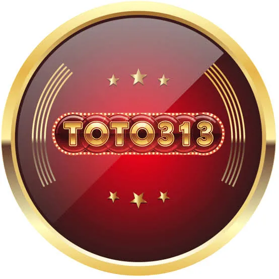 Panduan Lengkap Aplikasi toto313 untuk Pemula